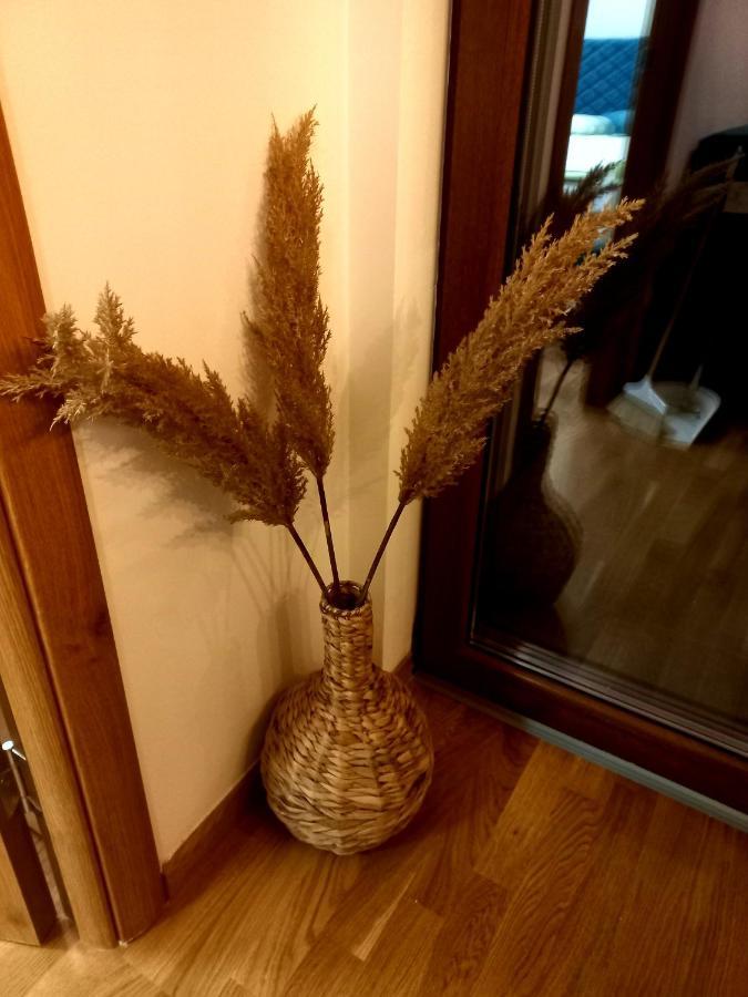 Zlatibor Apartman Luxury & Spa Dijana 外观 照片