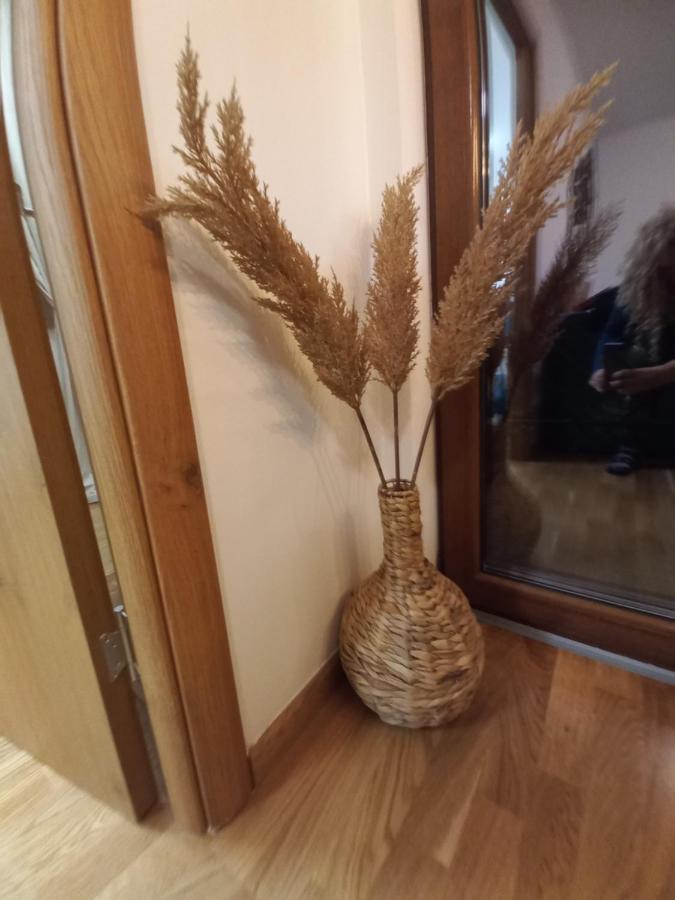 Zlatibor Apartman Luxury & Spa Dijana 外观 照片