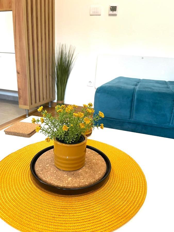 Zlatibor Apartman Luxury & Spa Dijana 外观 照片