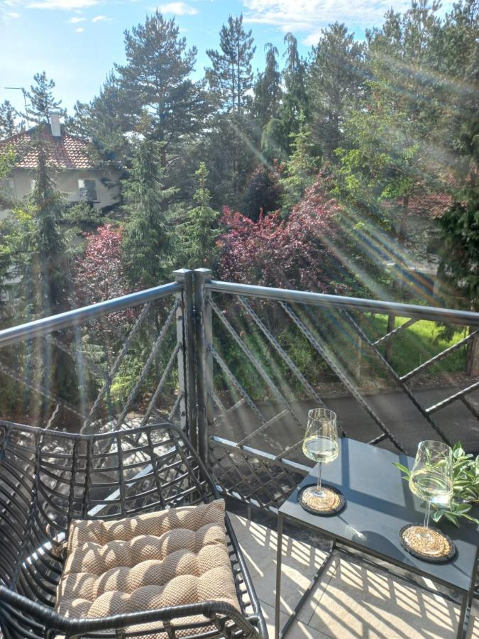 Zlatibor Apartman Luxury & Spa Dijana 外观 照片