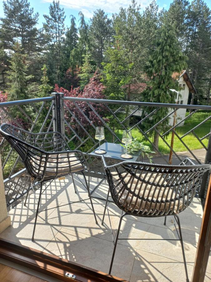 Zlatibor Apartman Luxury & Spa Dijana 外观 照片