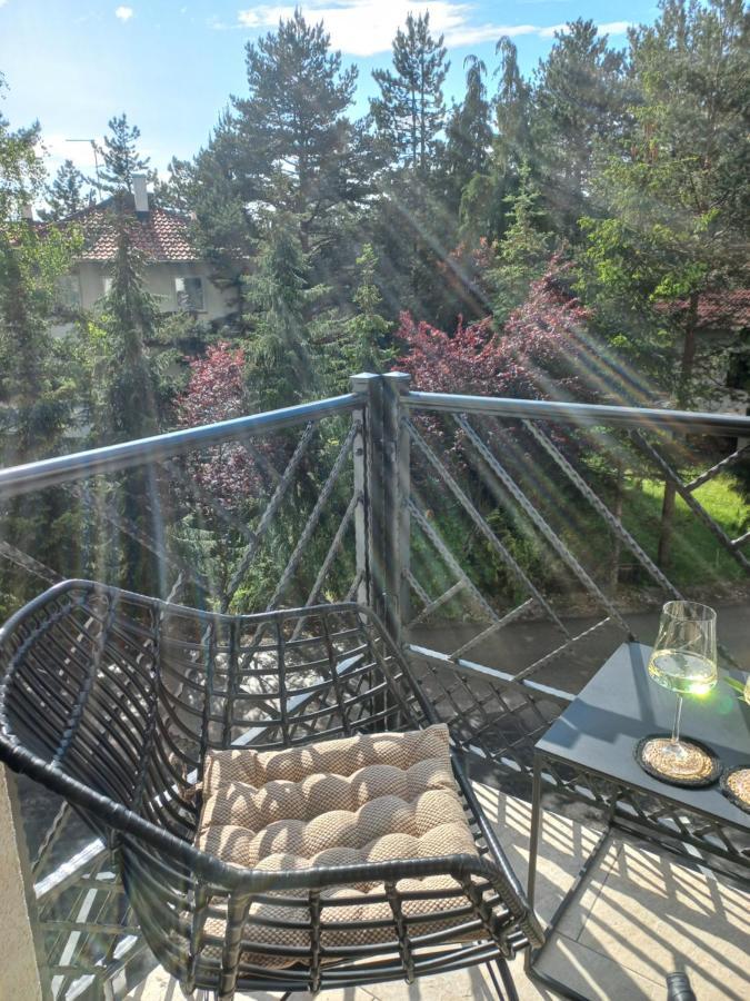 Zlatibor Apartman Luxury & Spa Dijana 外观 照片