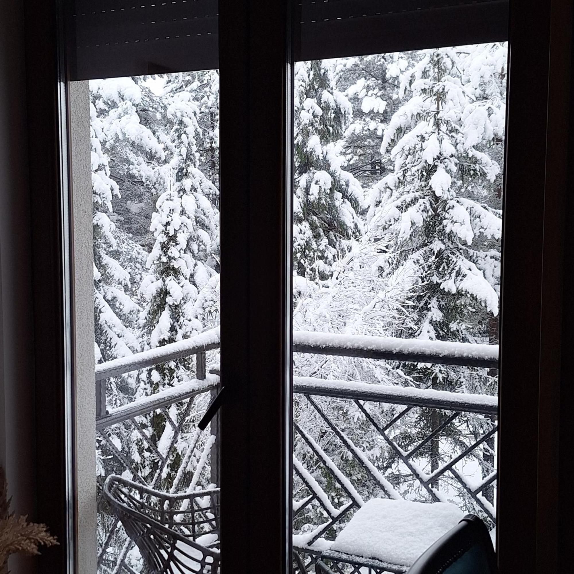 Zlatibor Apartman Luxury & Spa Dijana 外观 照片
